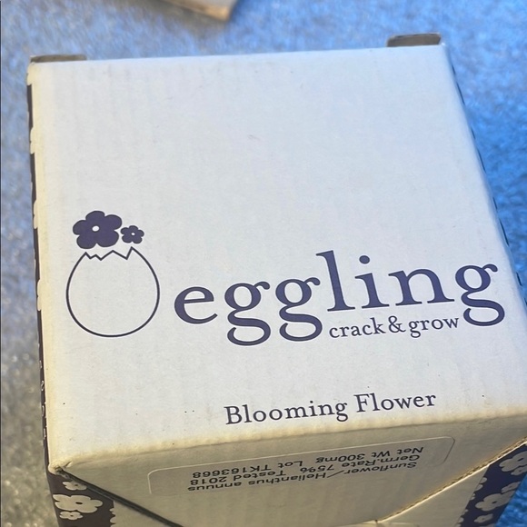 Eggling Sunflower Gardening Kit 2018 Made in Japan Easter Gift Spring Summer - Picture 5 of 6